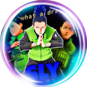 Meet your Posher, Sly